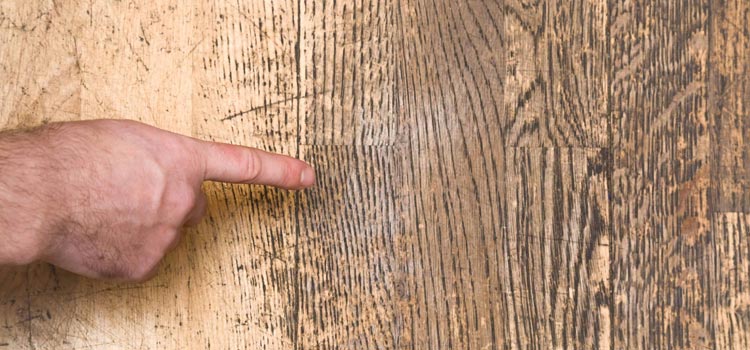 Wood Door Scratch Repair in Miami Beach