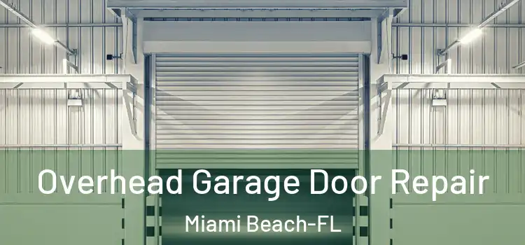  Overhead Garage Door Repair Miami Beach-FL
